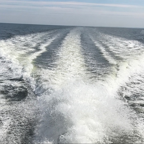 Meet your Posher, Tipper - Picture 4 of 4